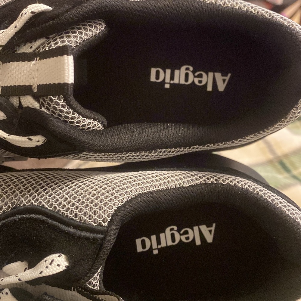 Alegria Boom Joy Panda - Picture 6 of 7